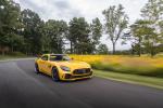 Mercedes-AMG GT R 2019 года (NA)